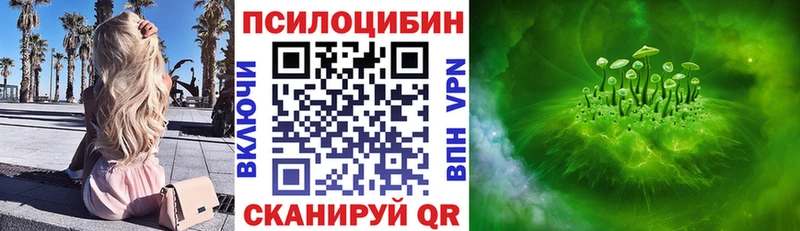 hydra зеркало  Армавир  Псилоцибиновые грибы Psilocybine cubensis  сколько стоит 